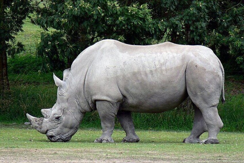 7 Day Garden Route - Durban To Cape Town & Addo National Park