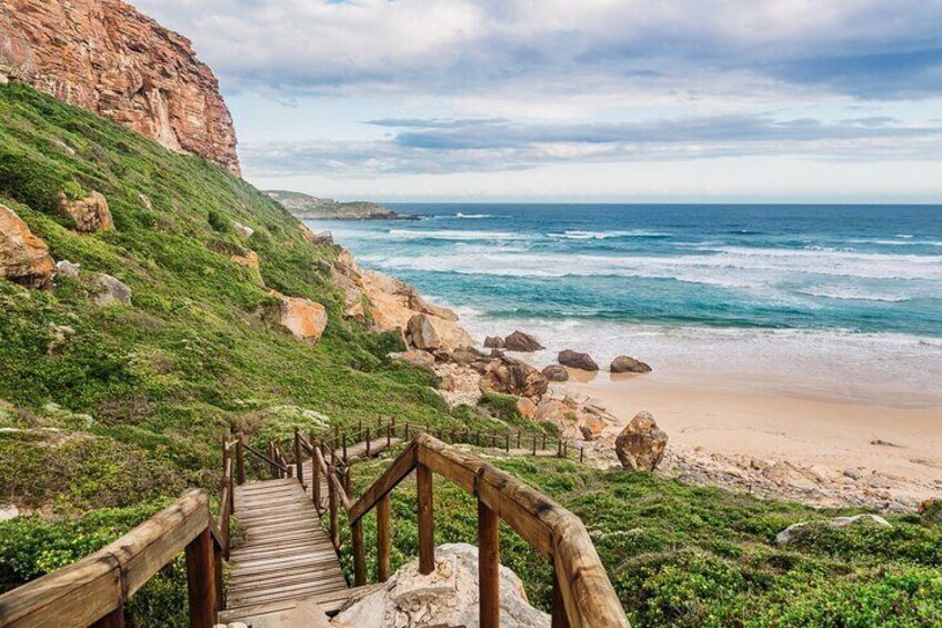 7 Day Garden Route - Durban To Cape Town & Addo National Park
