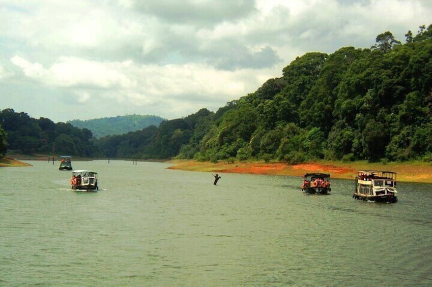 Wild trail at Thekkady - chuttibaaz.com