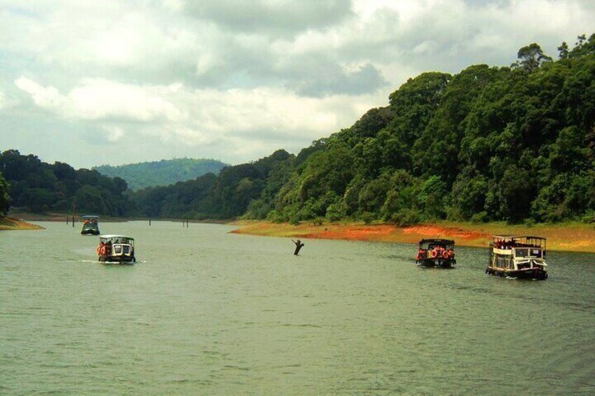 Wild trail at Thekkady - chuttibaaz.com