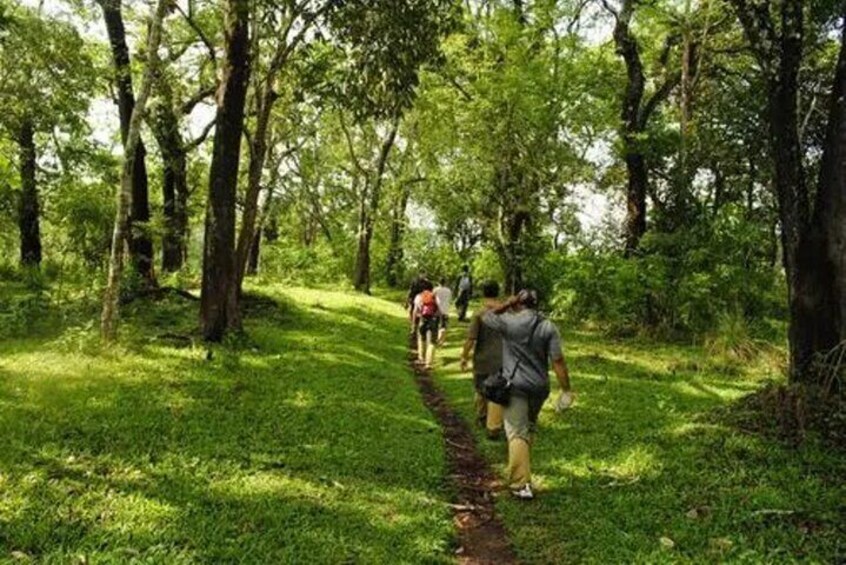 Wild trail at Thekkady - chuttibaaz.com