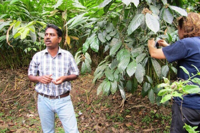 Wild trail at Thekkady - chuttibaaz.com