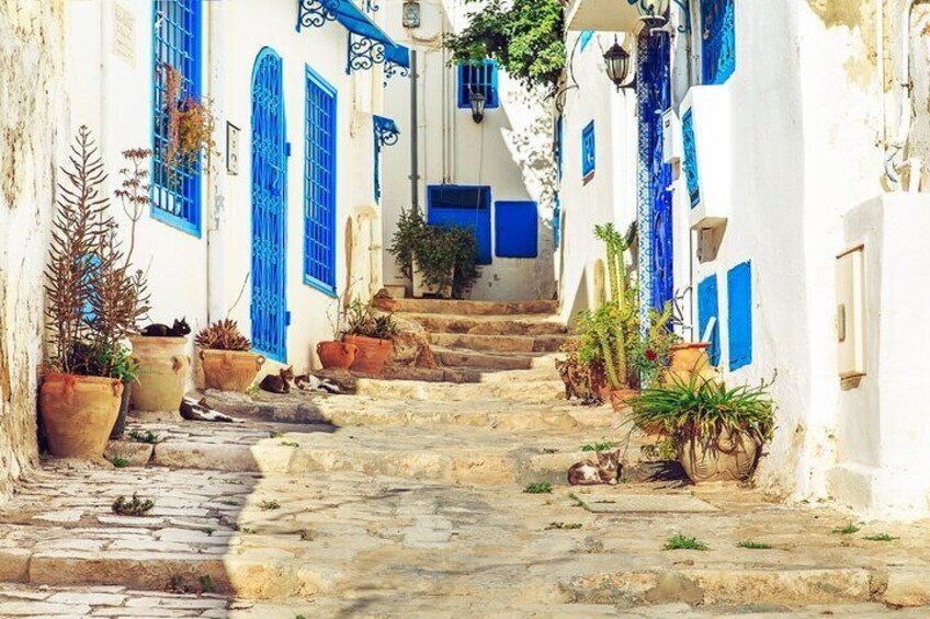 Carthage- Sidi Bou Said- Camel ride