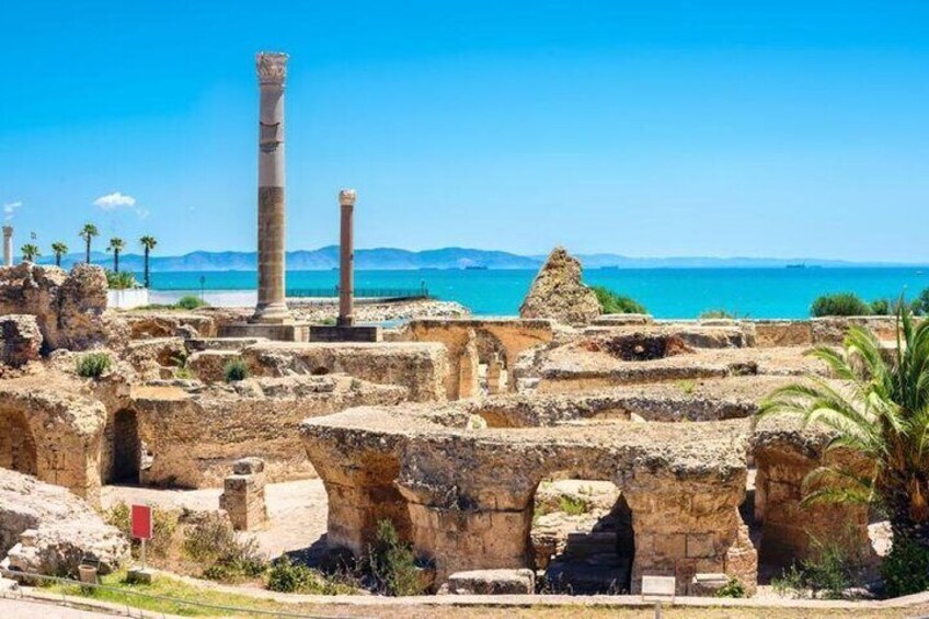 Carthage- Sidi Bou Said- Camel ride