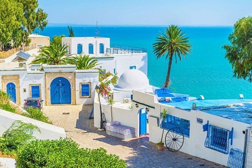 Carthage- Sidi Bou Said- Camel ride