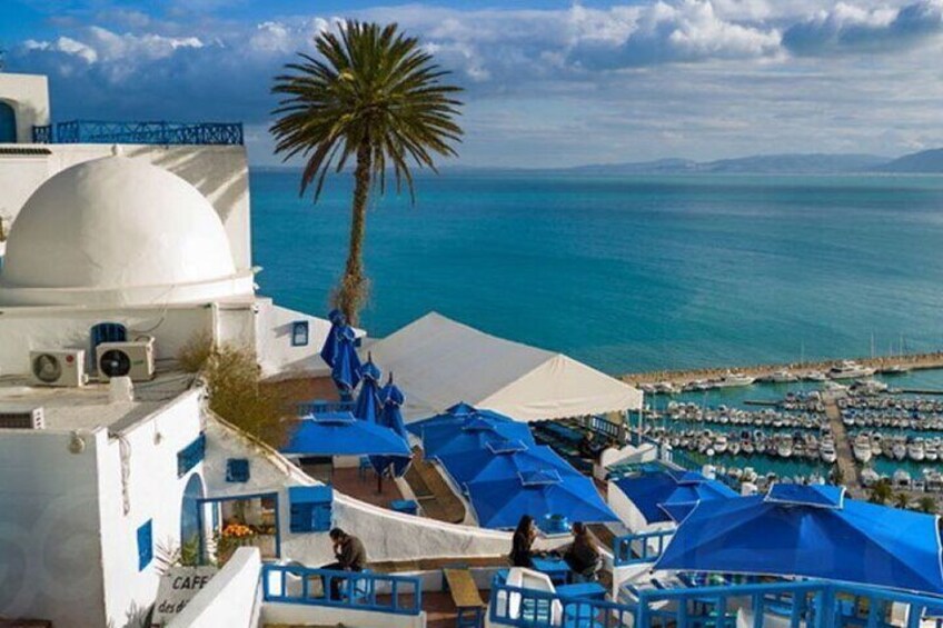 Carthage- Sidi Bou Said- Camel ride