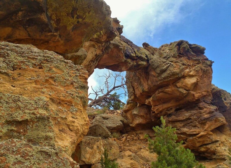 Picture 6 for Activity Colorado Jeep Tours - Red Canyon Half-Day Tour