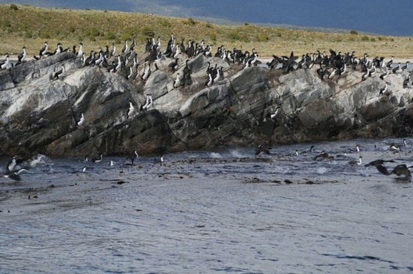  Beagle Channel Navigation On Yacht