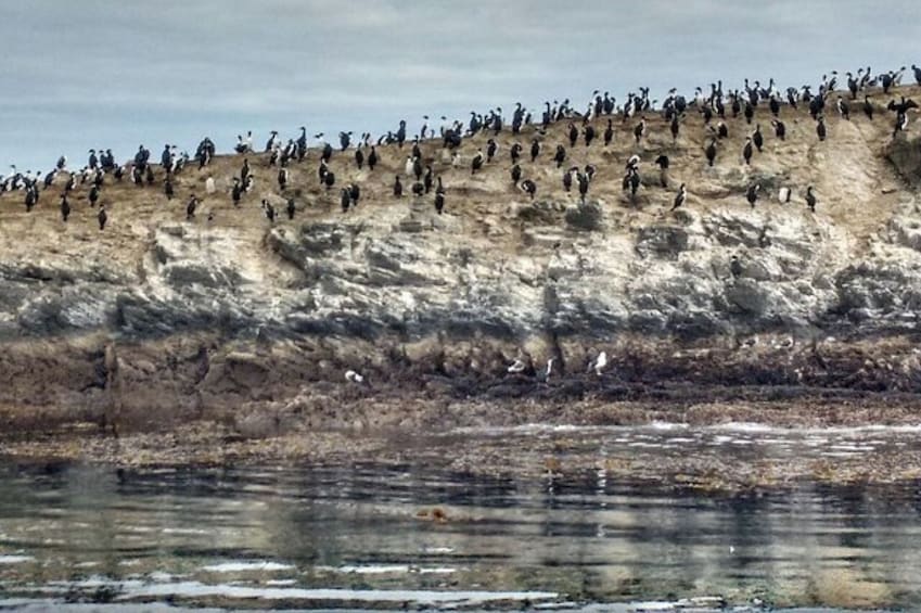  Beagle Channel Navigation On Yacht