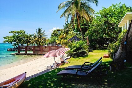 Ocho Rios Gourmet Jamaican Food and Private Beach Experience