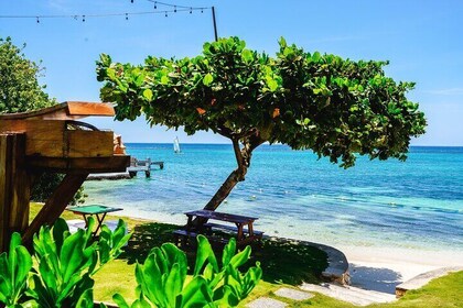 Ocho Rios Gourmet Jamaican Food and Private Beach Experience