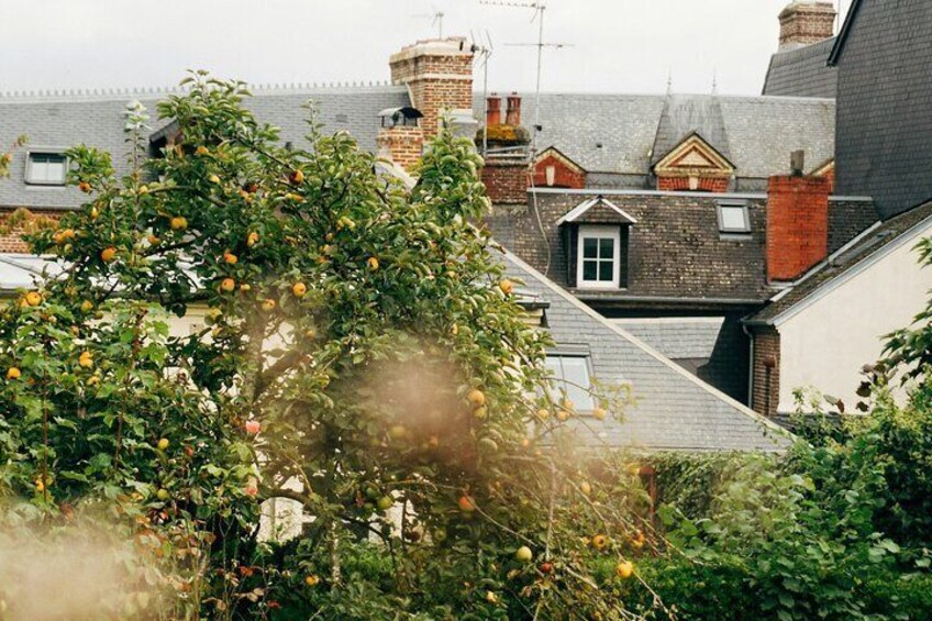 Private Guided Walking Discovery Tour of Honfleur