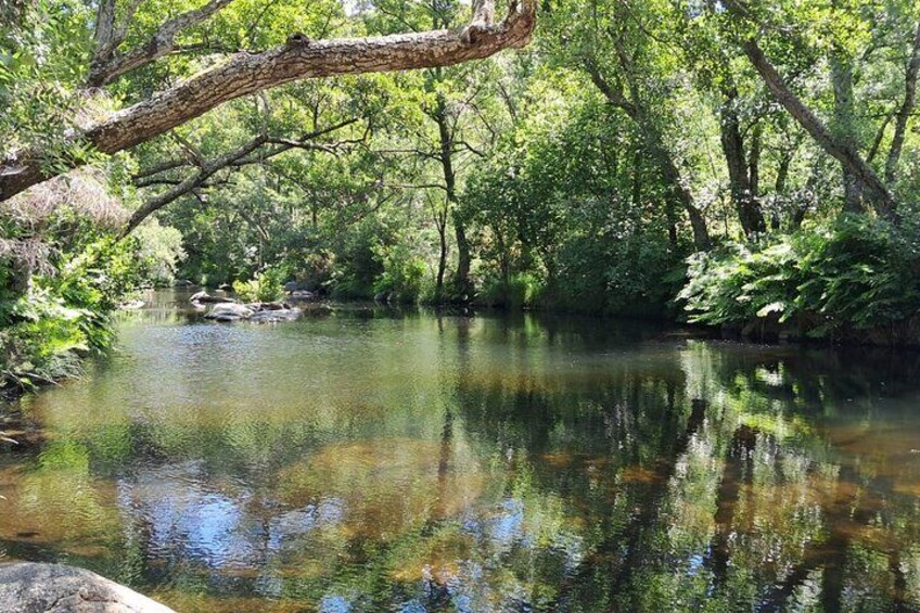 Guarda Nature Walk on the Mondego Walkways