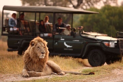 Private Five Day Tour Garden Route Safari from Cape Town