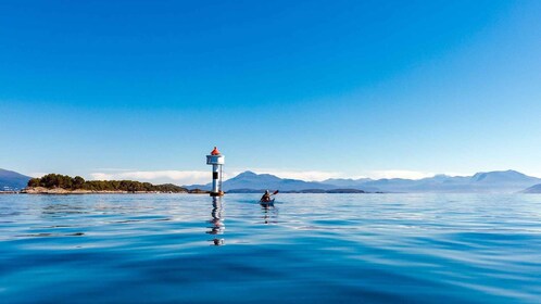 Molde - Guided kayak tour