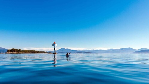 Molde - Guided kayak tour