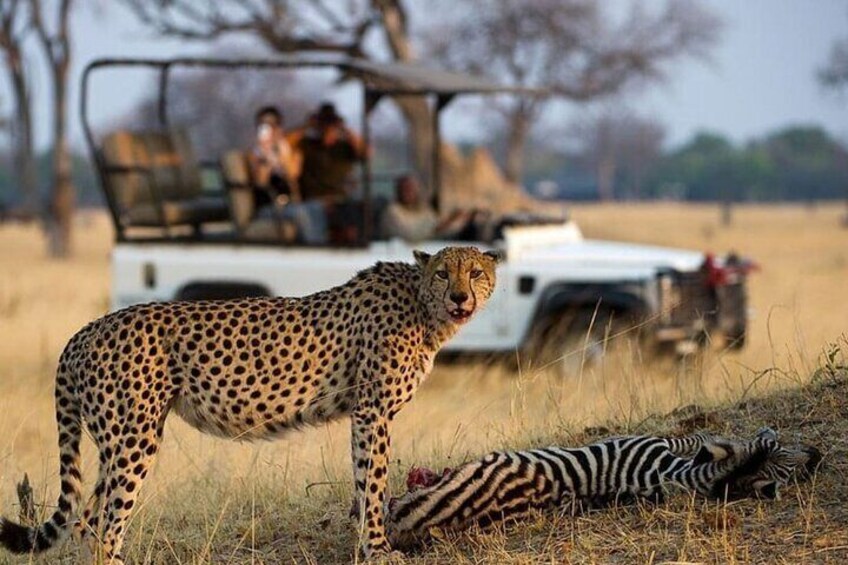 3 Day Kruger National Park Private Safari from Johannesburg