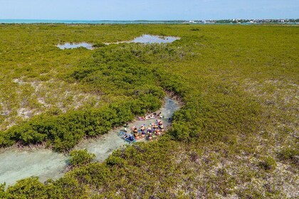 2 Hours Clear Kayaking Activity on Mangrove Cay