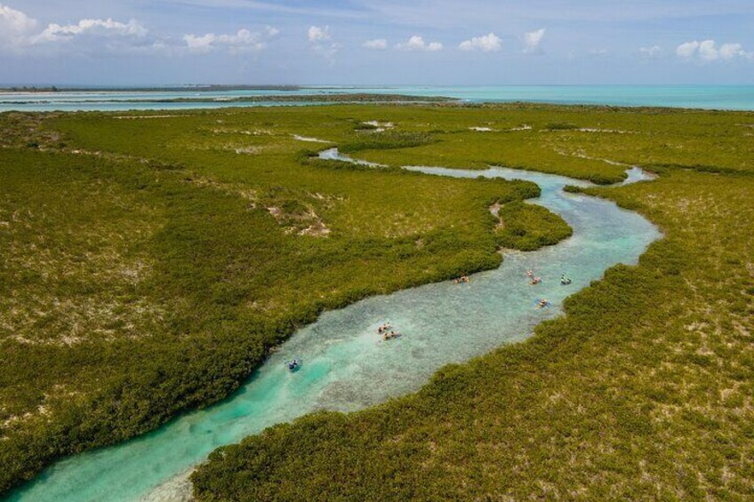 2 Hours Clear Kayaking Activity on Mangrove Cay