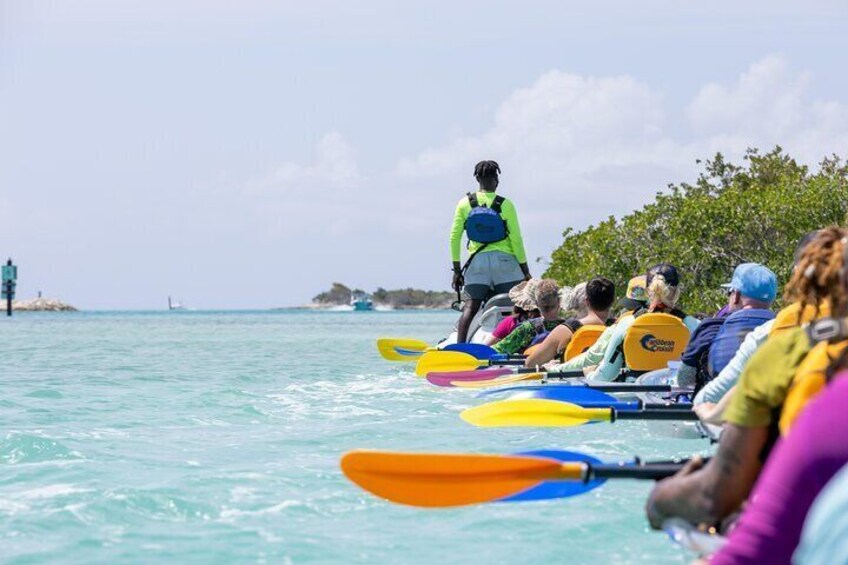 2 Hours Clear Kayaking Activity on Mangrove Cay