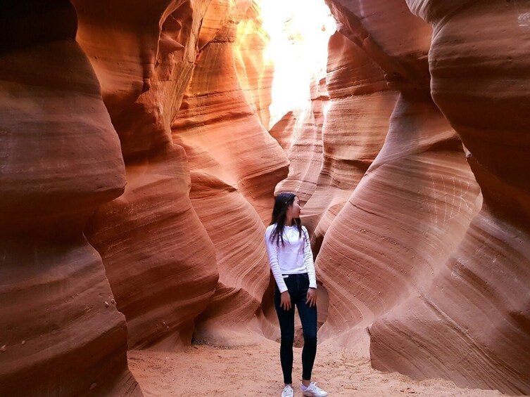 Small Group Tour: Starry Night, Antelope Canyon, Horseshoe Band