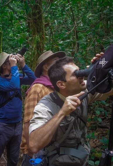 Picture 2 for Activity Monteverde: Coffee, Chocolate & Cloud Forest Tour