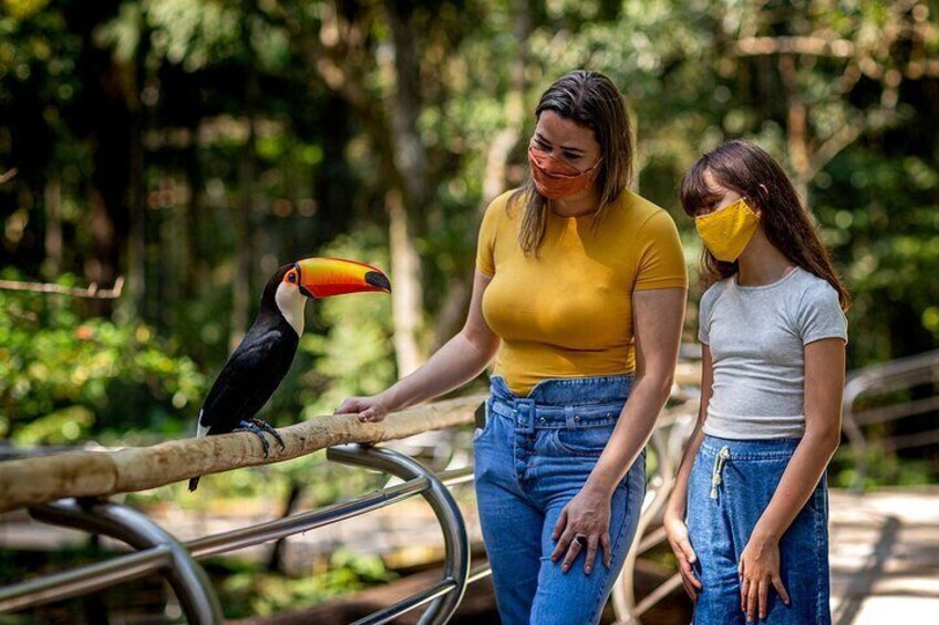 Explore Parque das Aves with a Guided Tour