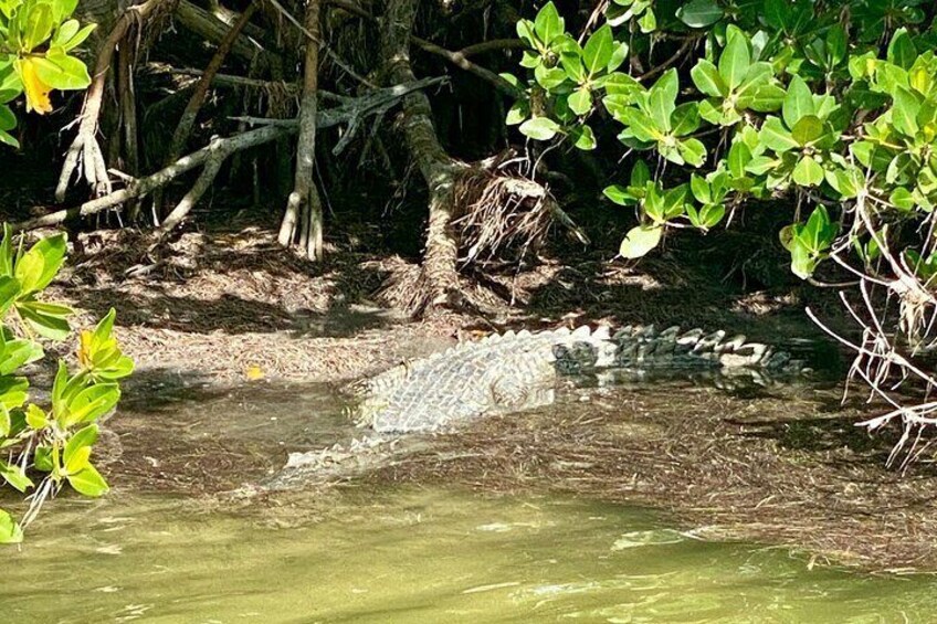 Ft Lauderdale to Islamorada Tour with Boat Ride and Lunch