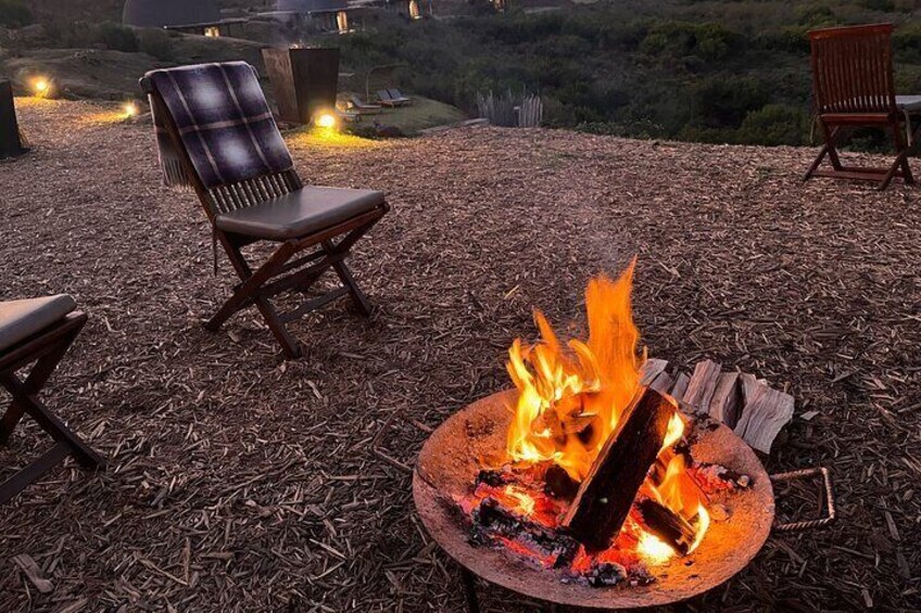 Bespoke Female Private Cape Town and Big 5 Safari Tour