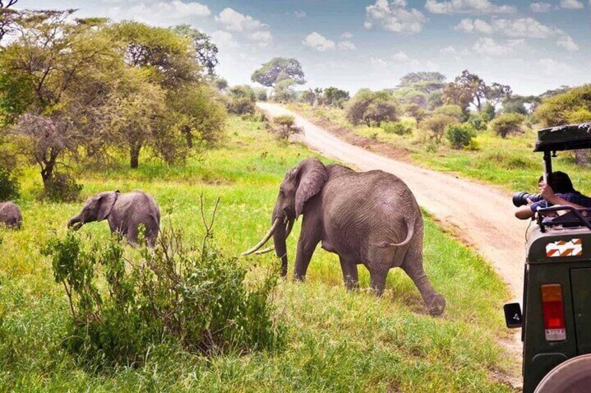 4 Day Kruger National Park and Blyde River Canyon Tour