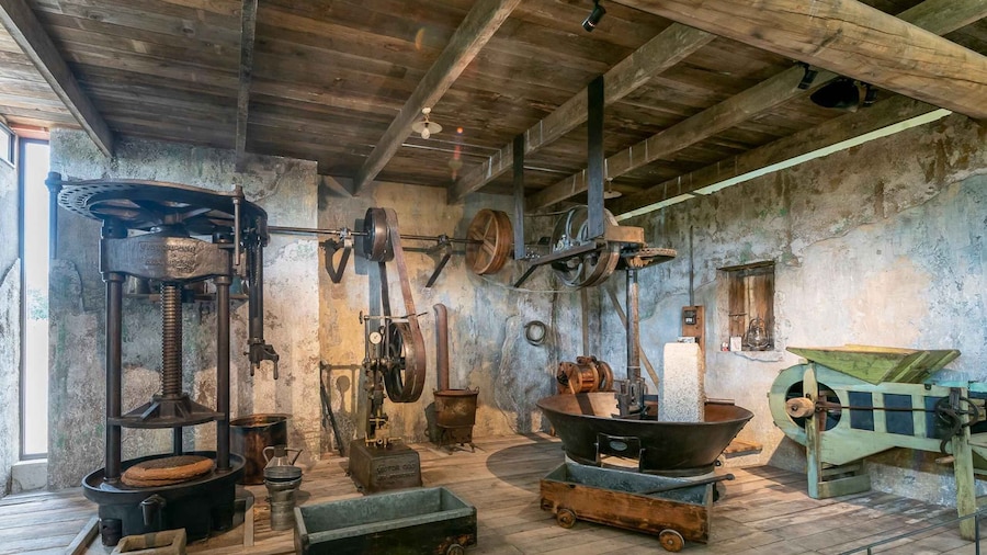 Oppède: Olive Oil Museum Visit