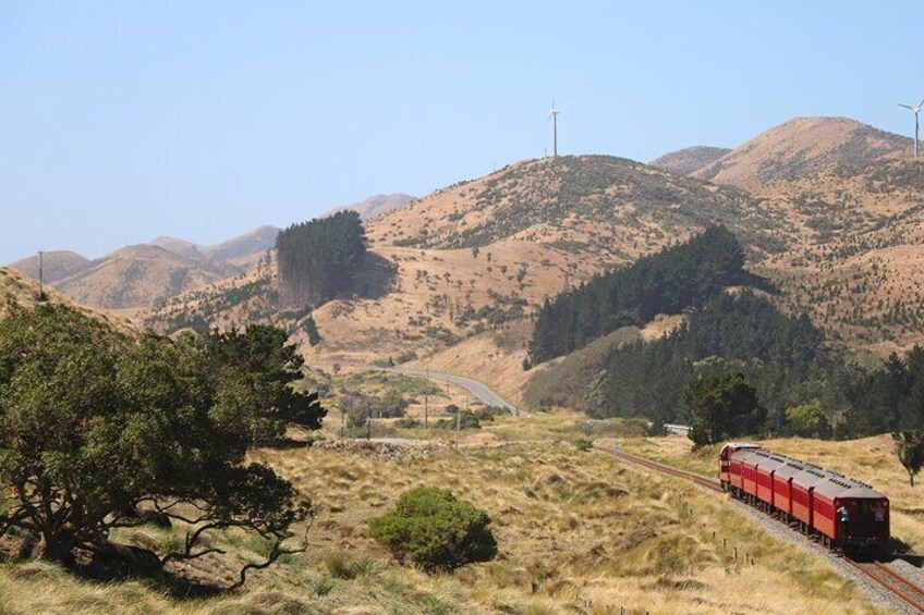 Marlborough Flyer Roundtrip Train Tour from Picton to Seddon 