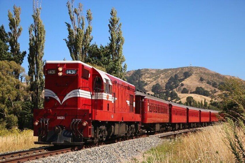 Marlborough Flyer Roundtrip Train Tour from Picton to Seddon 