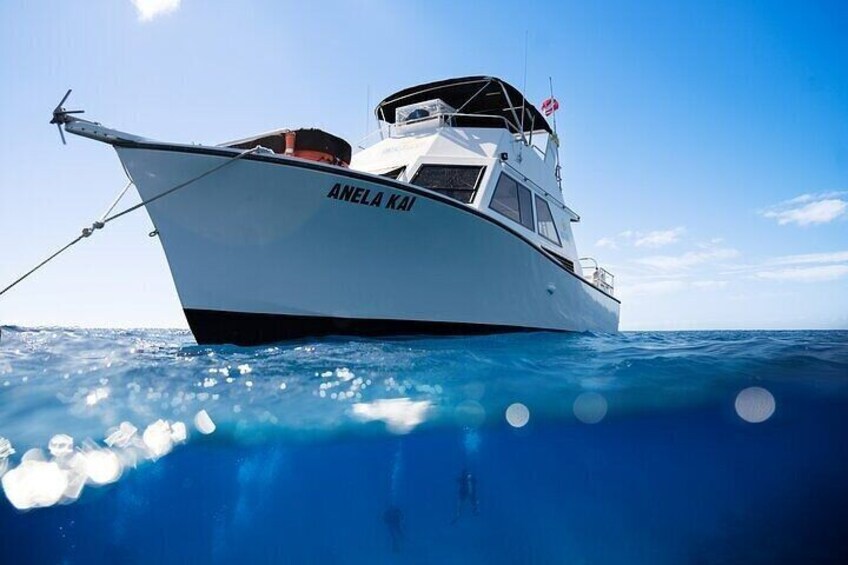 Premier Scuba Charter for Advanced Divers in Kauai