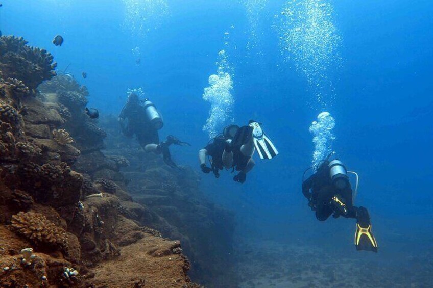 Premier Scuba Charter for Advanced Divers in Kauai