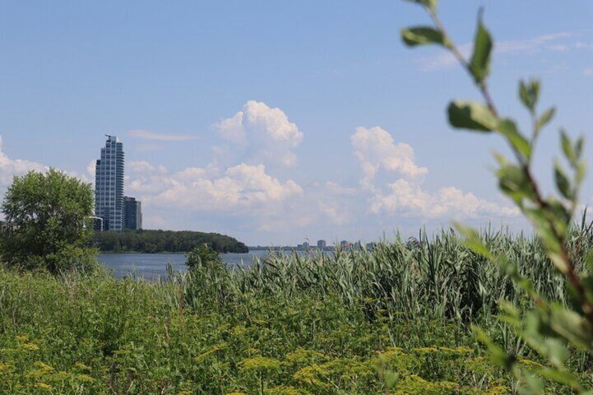 Walking mindfully along the Saint-Lawrence River!