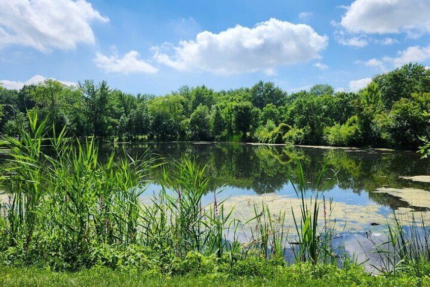 Parc Angrignon!