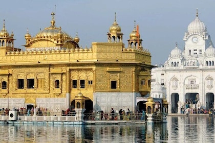 Amritsar 1 Day Tour(Wagah Border,Golden Temple, Jallianwala Bagh)