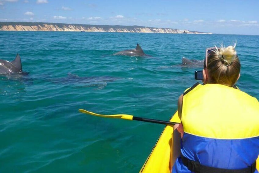 Noosa Whale Watching with Ocean Kayaking and Beach 4X4 Tour
