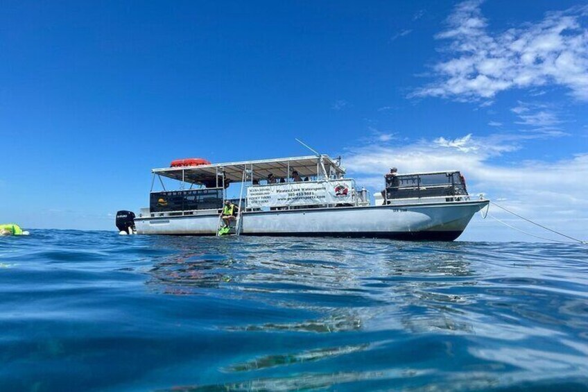 Coral Reef Half Day Snorkel Trip
