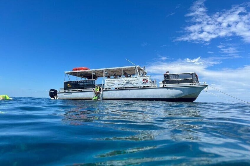 Coral Reef Half Day Snorkel Trip