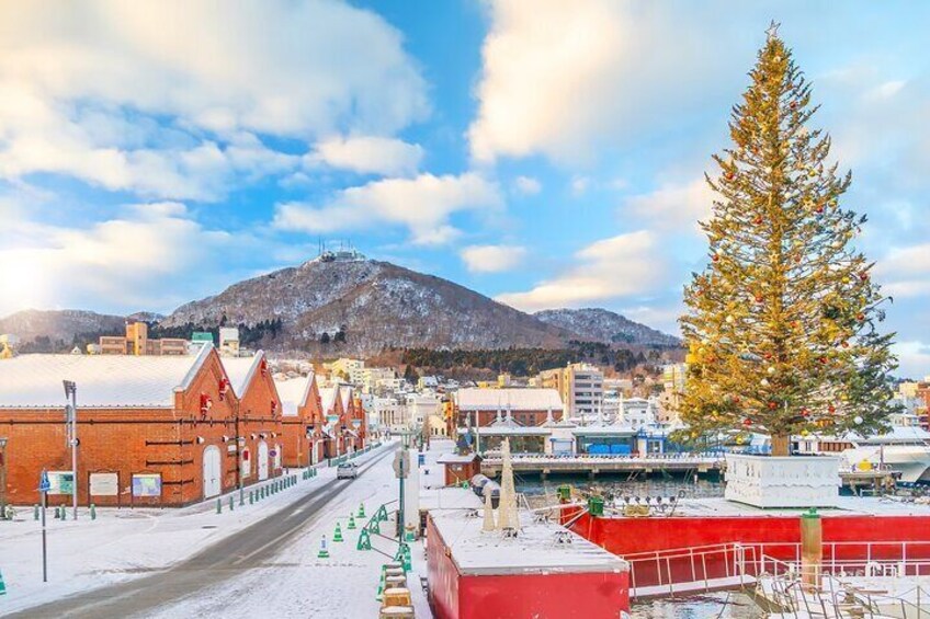 Hakodate Custom Full Day Tour