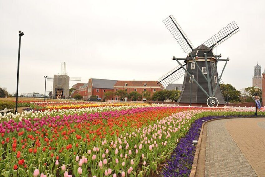 Sasebo Private Customizable Full Day Tour