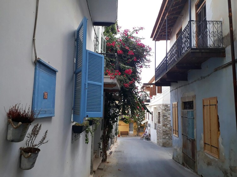 Honey, Lefkara & Traditional Basket Weaving Tour