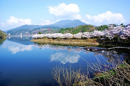 From Nagoya: Enakyo, Magome-juku & Tsumago-juku 1Day Bus Tour