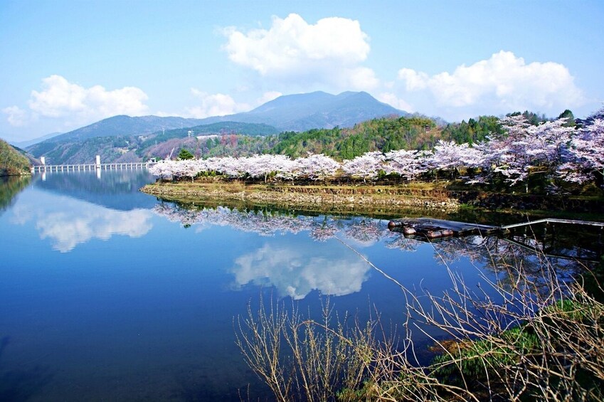 From Nagoya: Enakyo, Magome-juku & Tsumago-juku 1Day Bus Tour