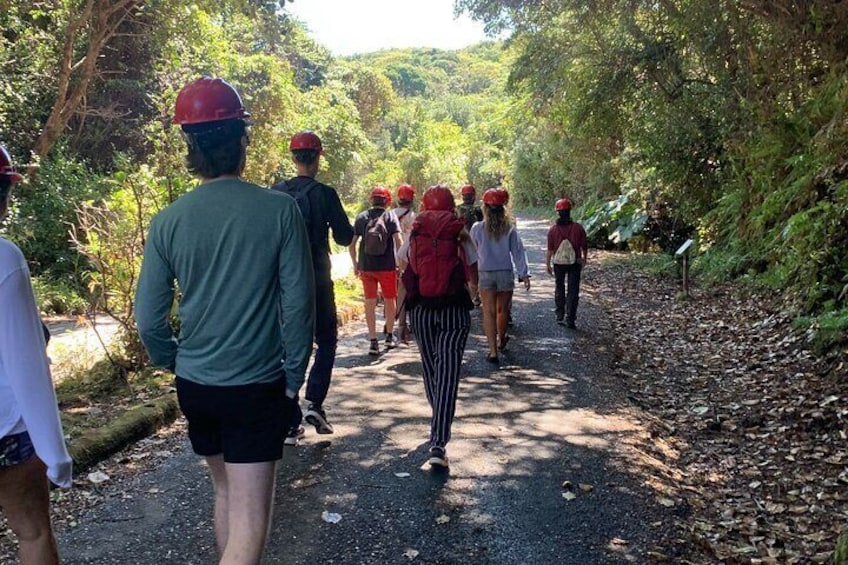 Small Group Half Day Guided Tour Visit to Poas Volcano