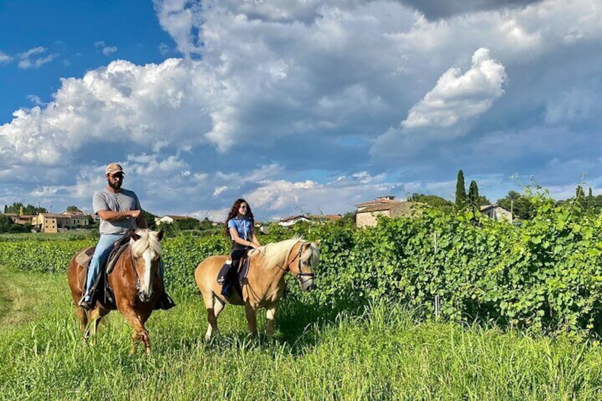 Horseback Riding with Wine and Food Tasting in Lazise Countryside