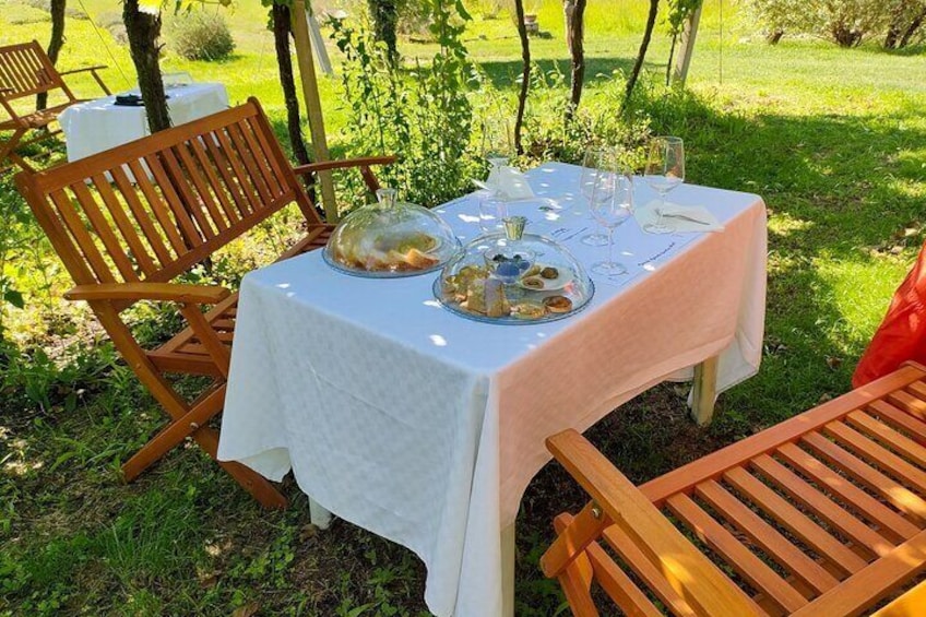 Horseback Riding with Wine and Food Tasting in Lazise Countryside