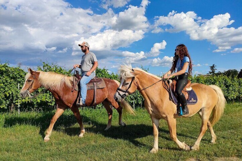 Horseback Riding with Wine and Food Tasting in Lazise Countryside